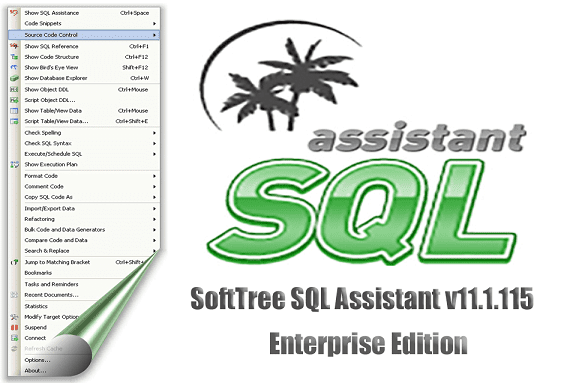 SoftTree SQL Assistant v11.2.246 Enterprise Edition + Crack