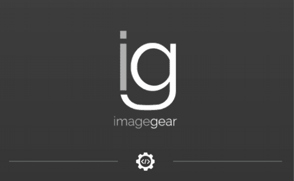 Accusoft ImageGear for .NET v24.12 x86 & x64 + Crack
