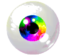 Pro Motion NG v8.0.7 (x64) Portable