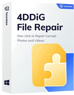 4DDiG File Repair v3.1.5.11 Multilingual Portable